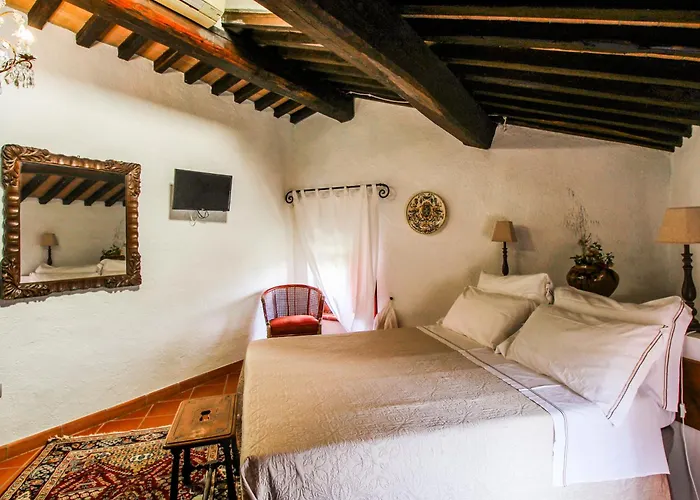 Agriturismo Boschi Di Montecalvi