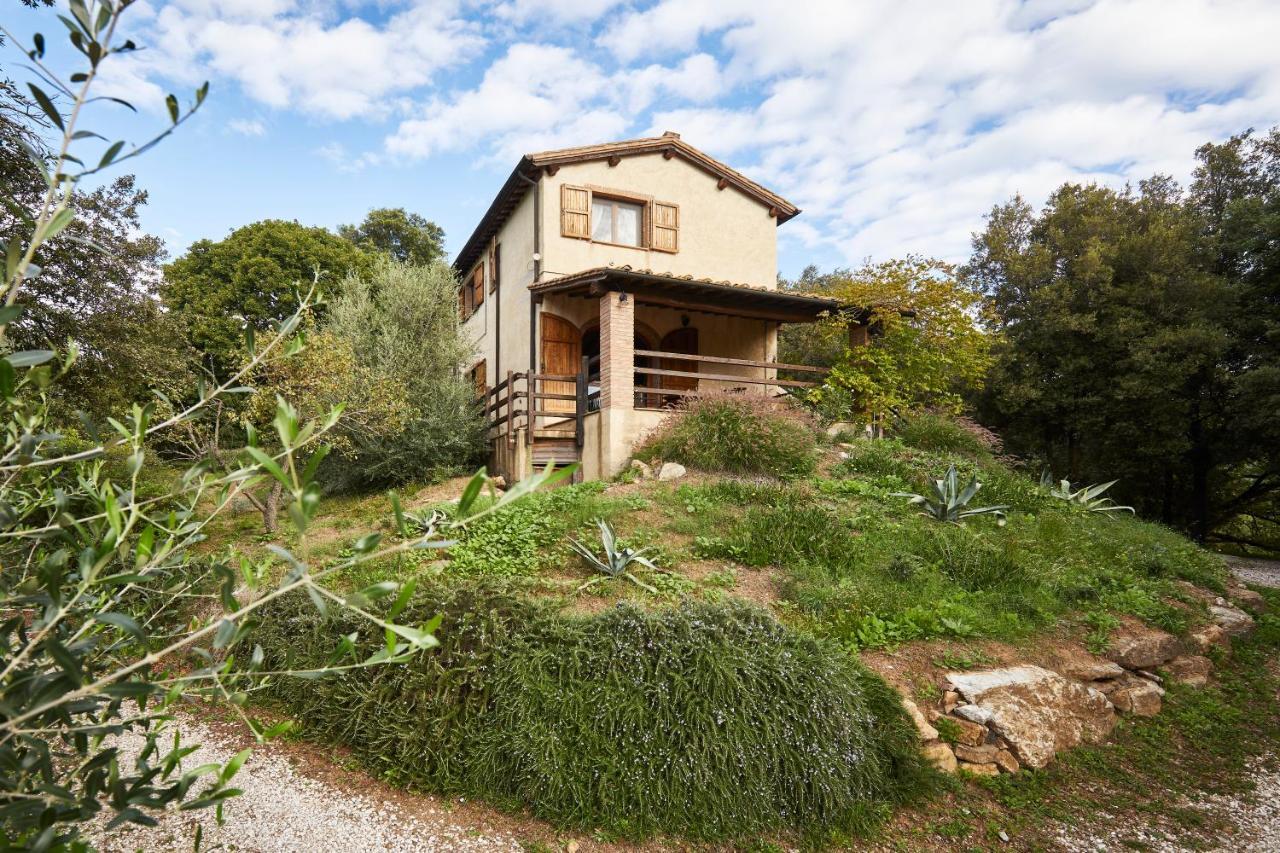 Agriturismo Boschi Di Montecalvi Farm stay Suvereto