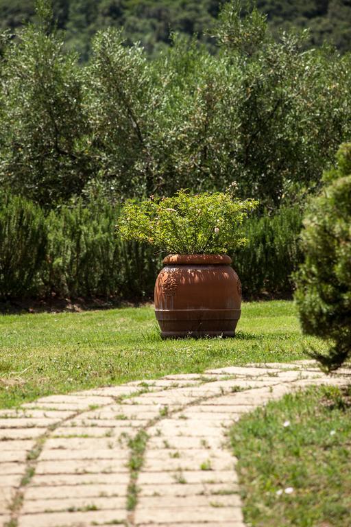 Farm stay Agriturismo Boschi Di Montecalvi